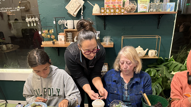 Image: Faerie Garden Class