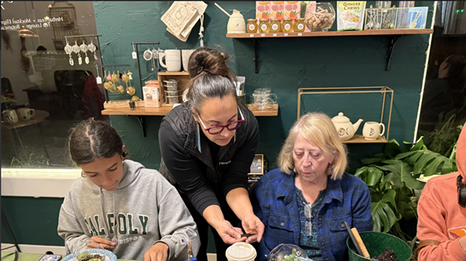 Image: Faerie Garden Class