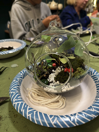 Image: Faerie Garden Class