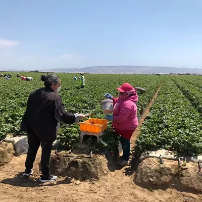 Image: Family Service Agency to provide health support for Santa Barbara County farmworkers