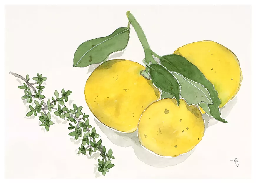 Fine Art Watercolor Paintings by Nancy Jensen