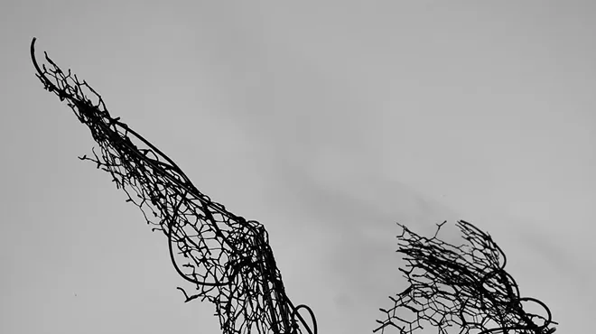 Image: Free Membership in Central Coast Sculptors
