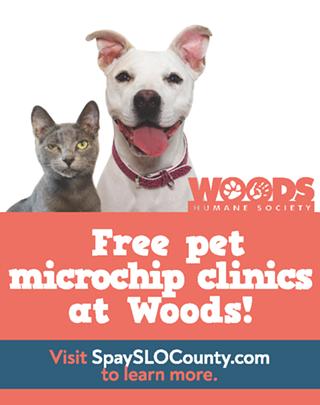 Image: Free Microchip Clinics