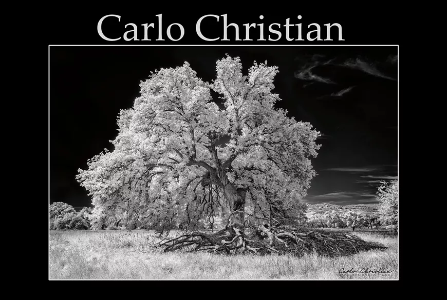 Fine Art Black and White Infrared Photography by Carlo Christian
