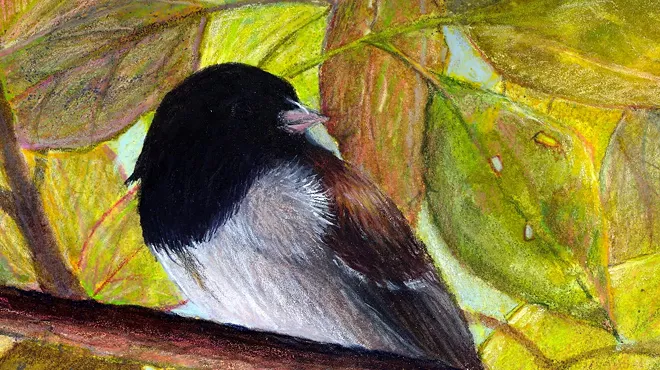 Image: Gallery at Marina Square presents Fine Art Paintings by Virginia Mack