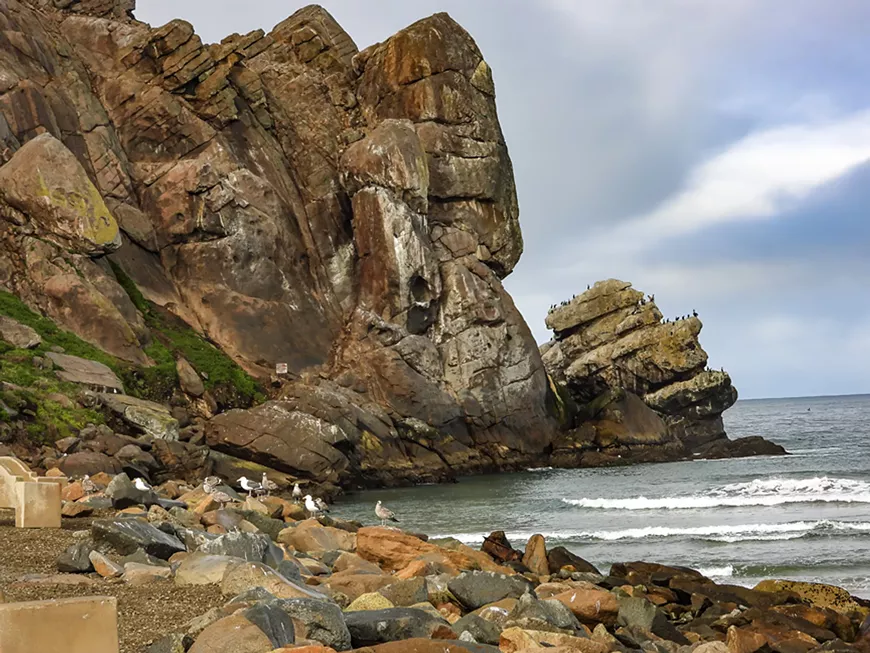 g.kreinberggoat_rock-3-9by12200.webp