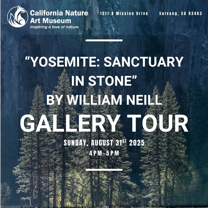 canva_william_neill_gallery_talk.webp