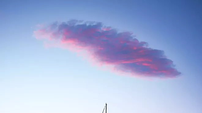 Image: Gregory Siragusa: Featured Artist