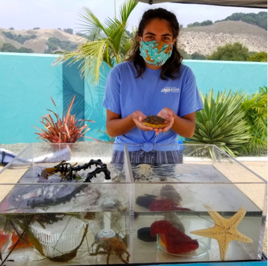 The Grover Beach Library presents Central Coast Aquarium's Tidepools on Tour program.
