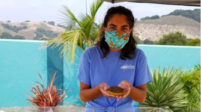 Image: Grover Beach Library Presents Tidepools on Tour