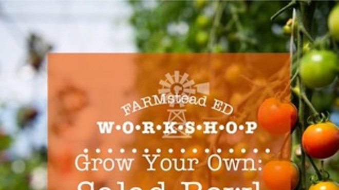 Grow Your Own: Salad Bowl