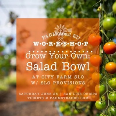 Grow Your Own: Salad Bowl