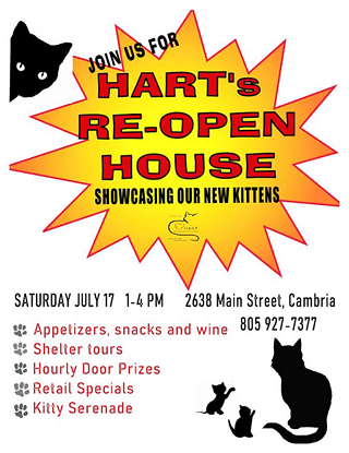 Hart's Re-Open House: Showcasing Our New Kittens