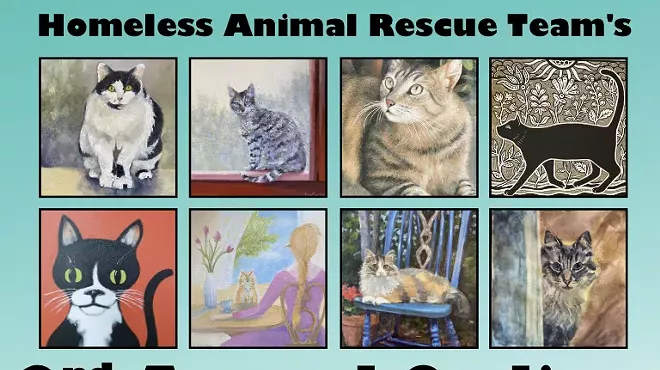 Image: HART&rsquo;s second annual Cat Art Auction