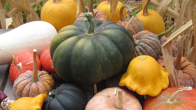 Image: Harvest Fall Soup in a Sack