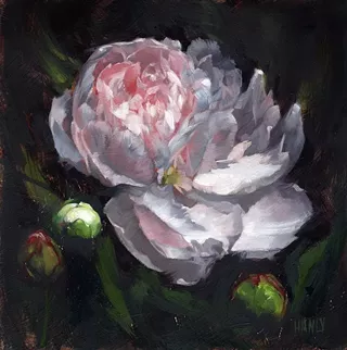Image: It Begins with Light at Gallery Los Olivos