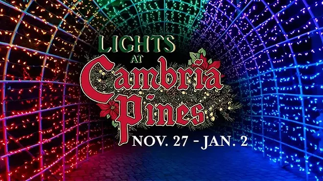 Image: Lights at Cambria Pines