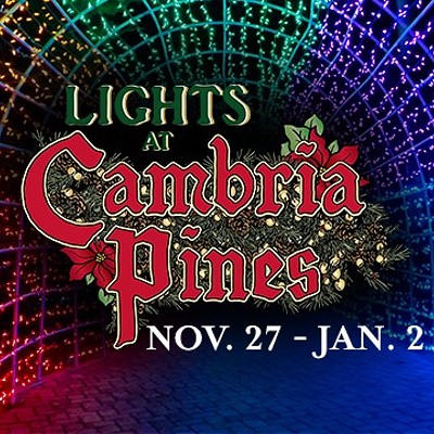 Lights at Cambria Pines