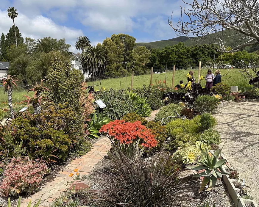 Visitors at the Garden of the Seven Sisters