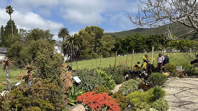 Image: Lunchtime in the Garden
