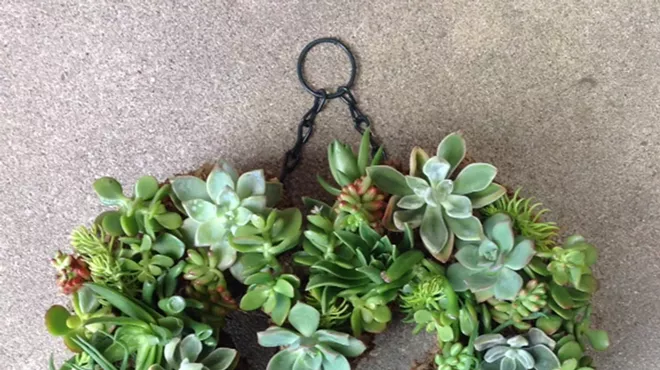 Image: Make a Succulent Wreath