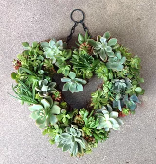 Image: Make a Succulent Wreath