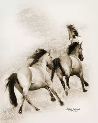 Image: Michael Johnston shows her fine art Photography in Gallery at Marina Square
