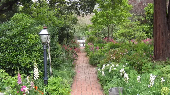 Image: Mindfulness in the Dallidet Gardens