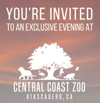 Image: Movie Night at the Zoo: Condor Canyon