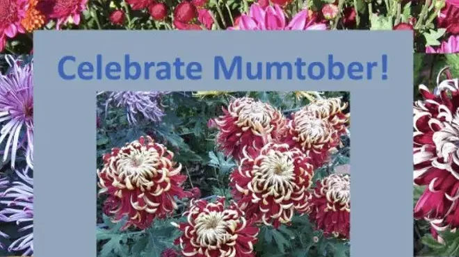 Image: Mumtober