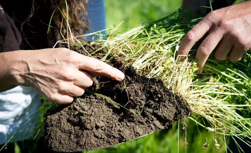 sustainablesoilsandrewhill.webp