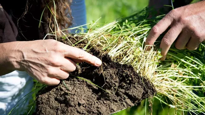 Image: Our Climate Emergency: Farming and Nature-Based Resilience (LWVSB Forum)