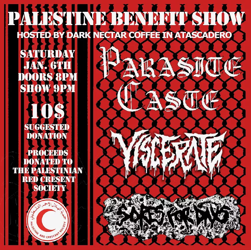 Palestine Benefit Show