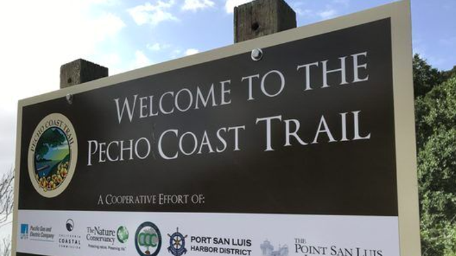 Image: Pecho Coast Trail Plant Life