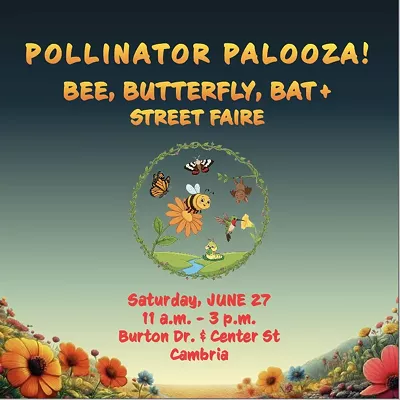 Image: Pollinator Palooza! Bee, Butterfly, Bat & Street Faire