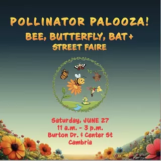 Image: Pollinator Palooza! Bee, Butterfly, Bat & Street Faire