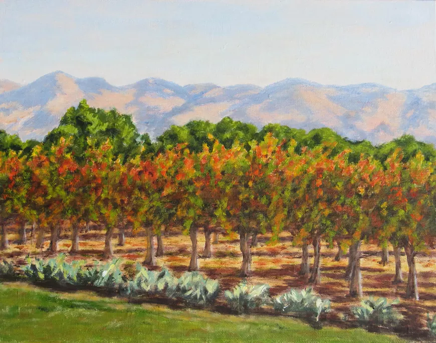Symphony of the Vines