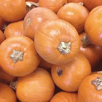 Image: Santa Barbara County Public Health allows for modified Halloween activities