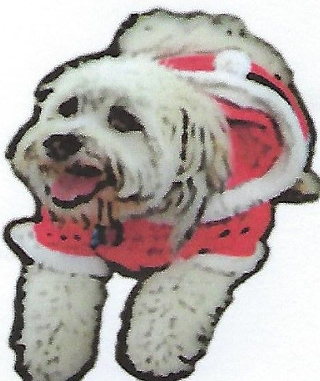 Image: Santa's Doggie Parade