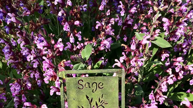 Image: SLO Master Gardeners, Advice to Grow By: How to Grow and Preserve Your Own Herbal Bounty