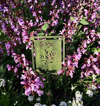 Image: SLO Master Gardeners, Advice to Grow By: How to Grow and Preserve Your Own Herbal Bounty