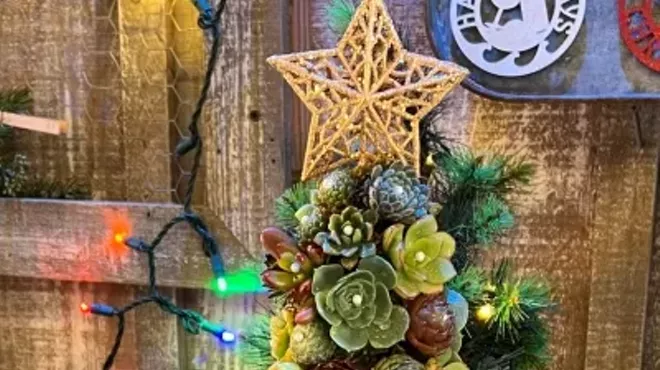 Image: Succulent Christmas Tree Workshop