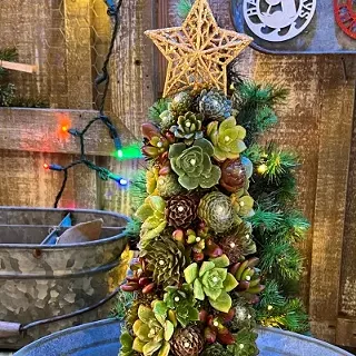 Image: Succulent Christmas Tree Workshop