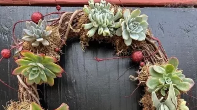 Image: Succulent Christmas Wreath Workshop