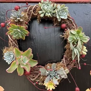 Image: Succulent Christmas Wreath Workshop