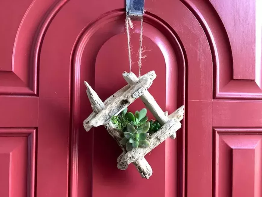 Create a beautiful succulent project.