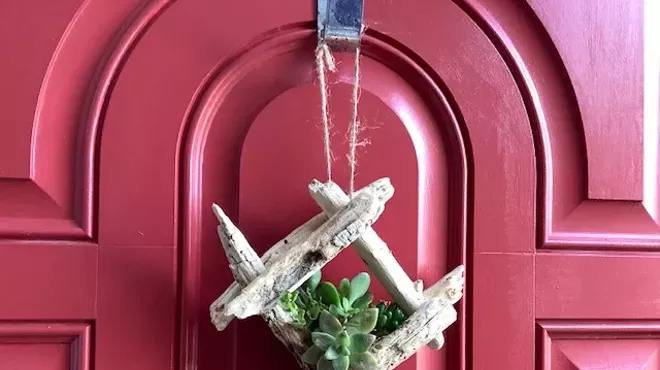 Image: Succulent Creations