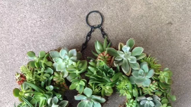 Image: Succulent Heart Wreath