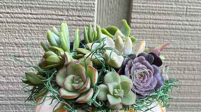 Image: Succulent Pumpkin Centerpiece Workshop