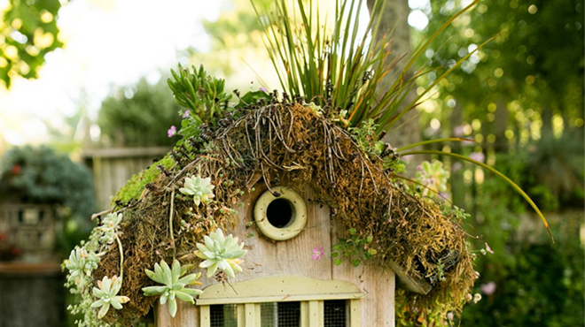 Image: Succulent Redwood Birdhouse Workshop